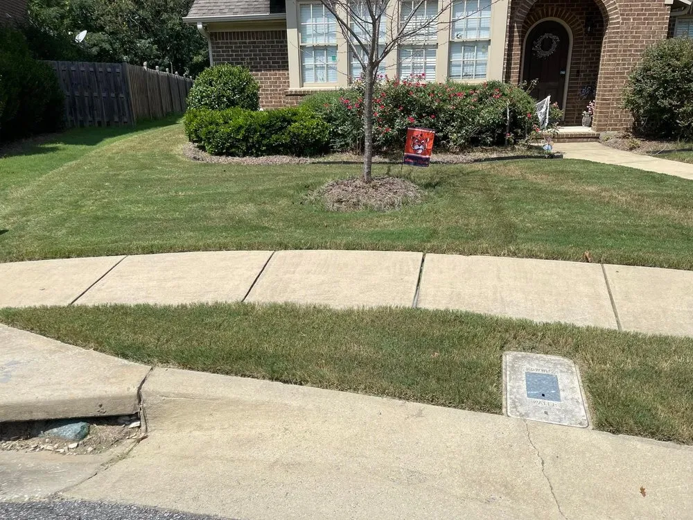 Custom yard cleanup service in Birmingham, AL - Terrells Lawn Care