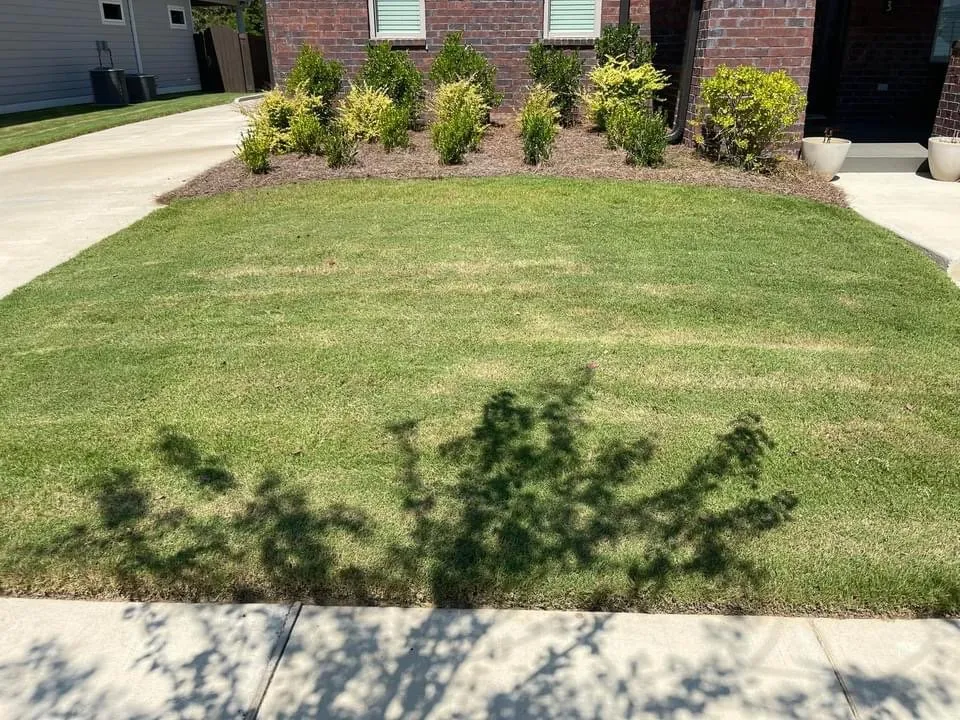 Affordable landscape installation in Birmingham, AL - Terrells Lawn Care