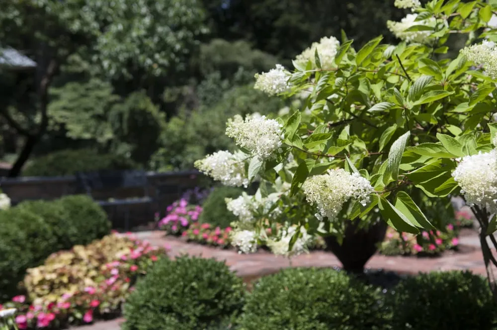Local garden landscaping experts serving Conshohocken, PA - Terren Landscapes