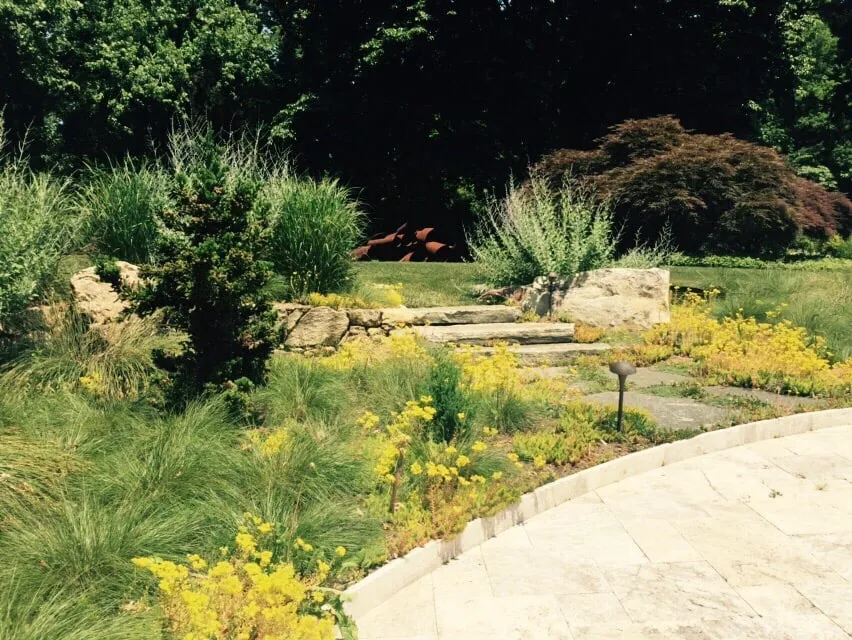 Trusted yard cleanup service in Conshohocken, PA by Terren Landscapes