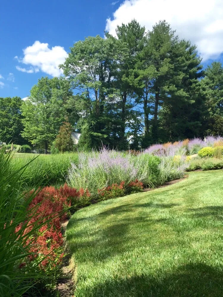 Local yard maintenance in Conshohocken, PA by Terren Landscapes