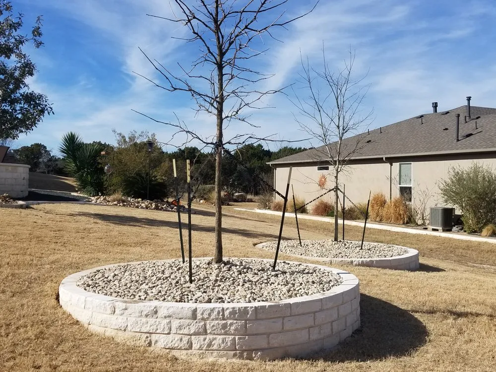 Top-rated yard cleanup service in Austin, TX by Terreno Construction