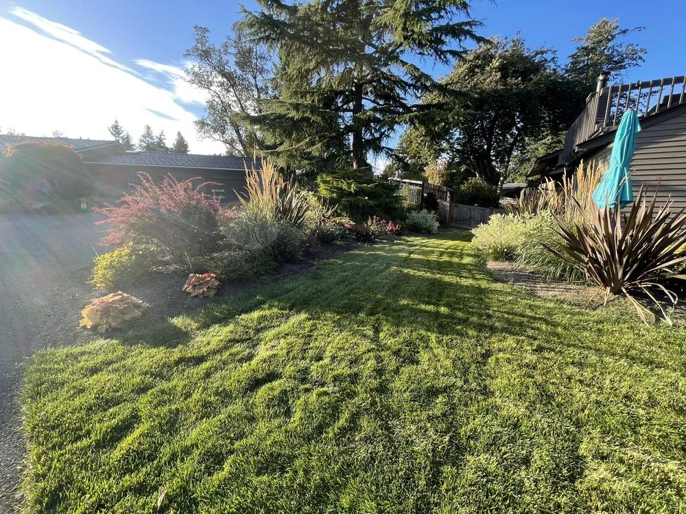 Reliable residential landscaping in Seattle, WA by Terreworks