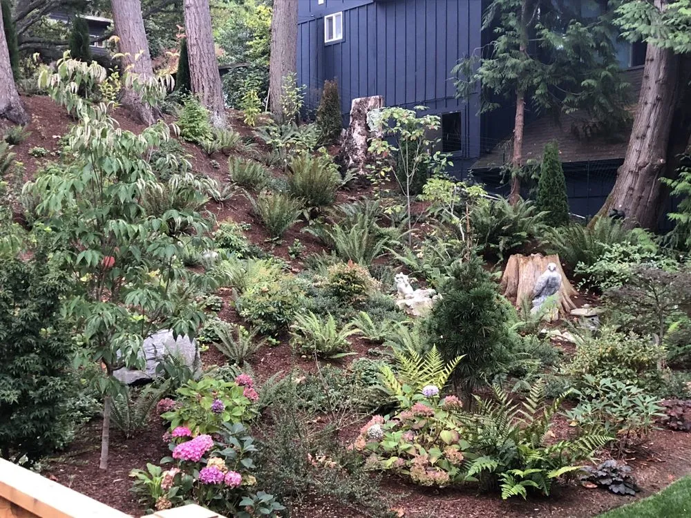 Reliable garden landscaping experts serving Seattle, WA - Terreworks