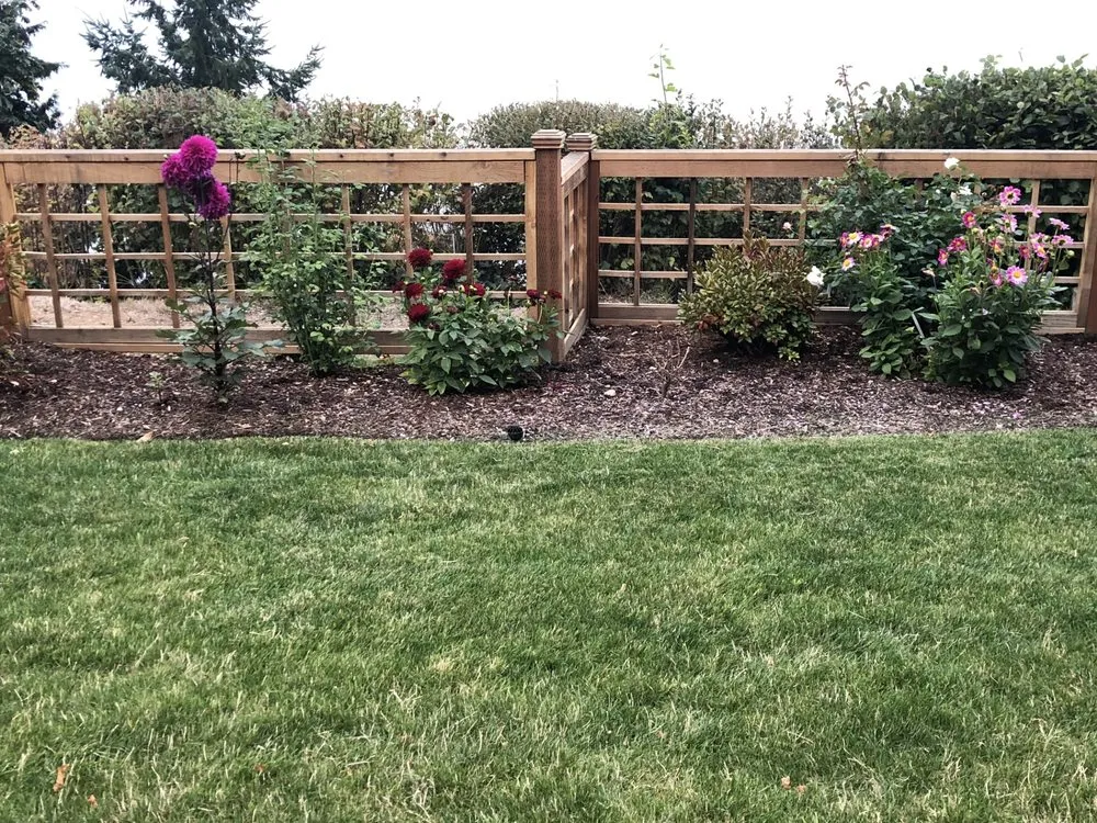 Top-rated yard maintenance in Seattle, WA - Terreworks