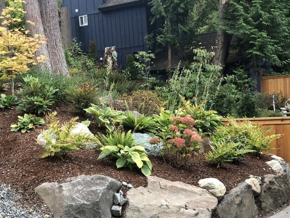 Trusted yard cleanup service for residential properties in Seattle, WA by Terreworks