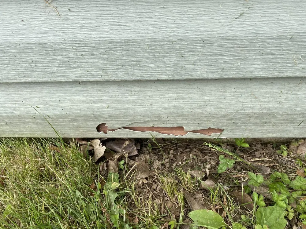 Professional yard cleanup service experts serving Langhorne, PA - Terrific Turf