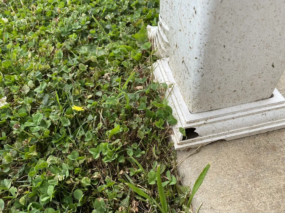 Affordable landscaping services in Langhorne, PA - Terrific Turf