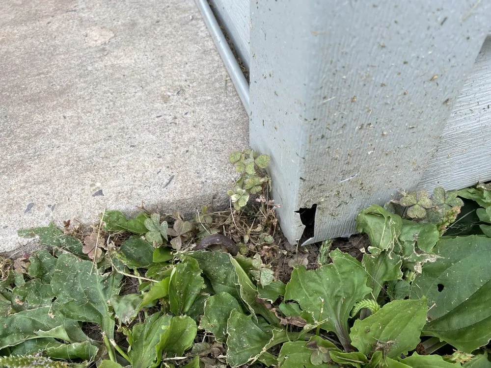 Top-rated landscape installation experts serving Langhorne, PA - Terrific Turf