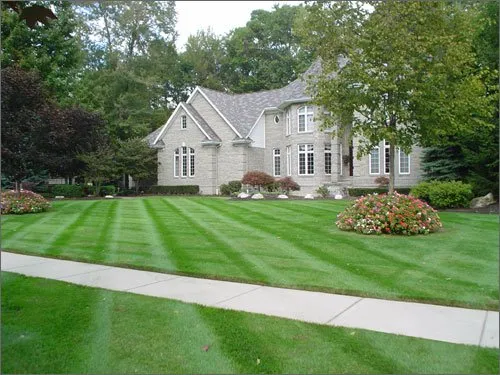 Professional outdoor landscaping in Langhorne, PA by Terrific Turf