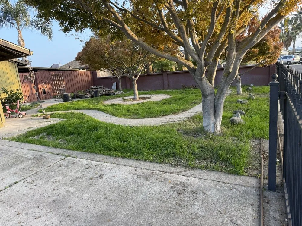 Professional lawn care service in Lathrop, CA by Terriquez Landscaping