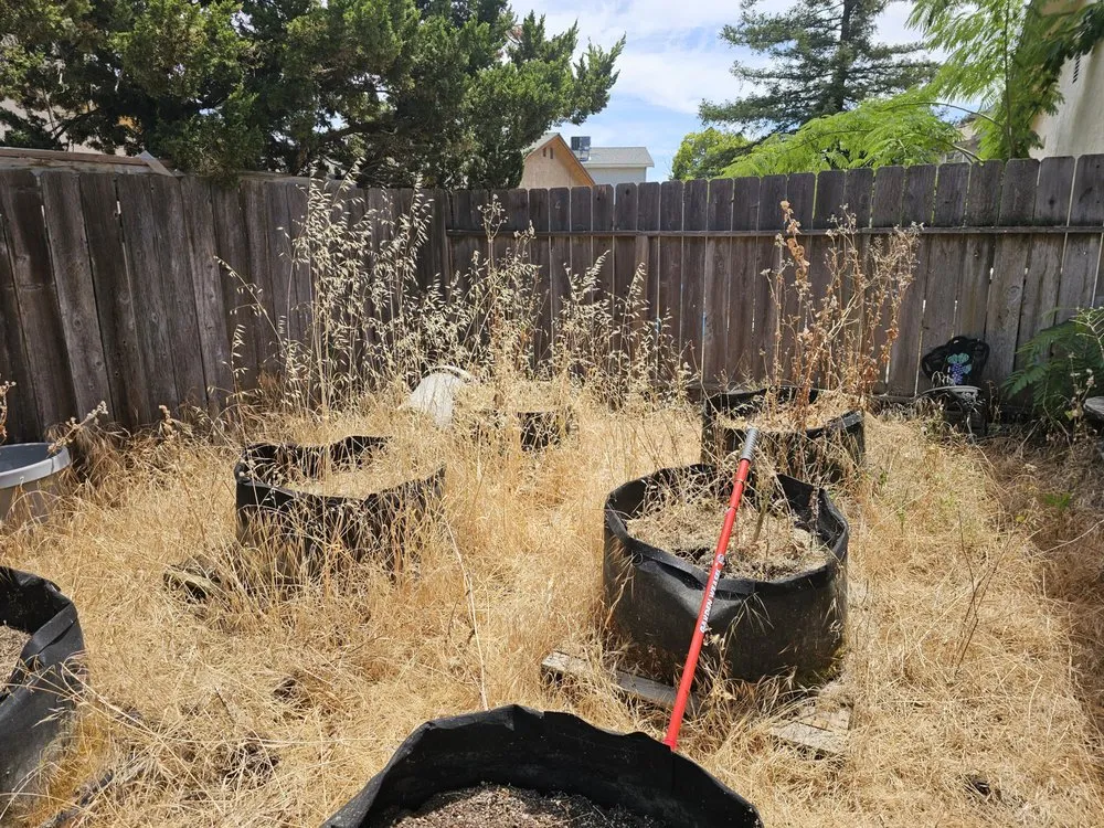 Reliable outdoor landscaping in Lathrop, CA - Terriquez Landscaping