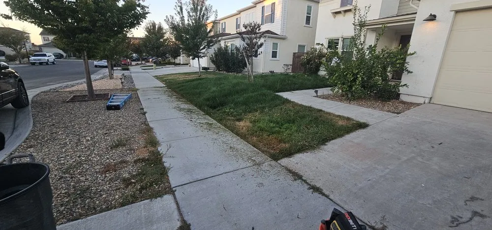 Expert yard cleanup service in Lathrop, CA - Terriquez Landscaping