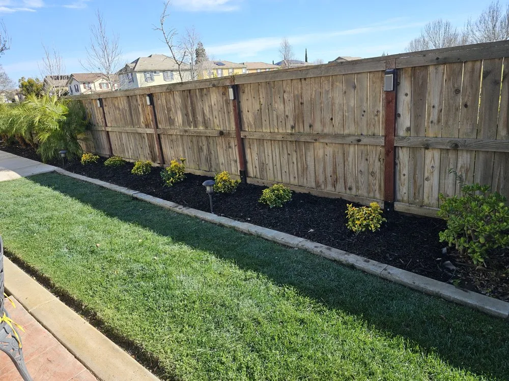 Top-rated garden landscaping for year-round maintenance in Lathrop, CA by Terriquez Landscaping