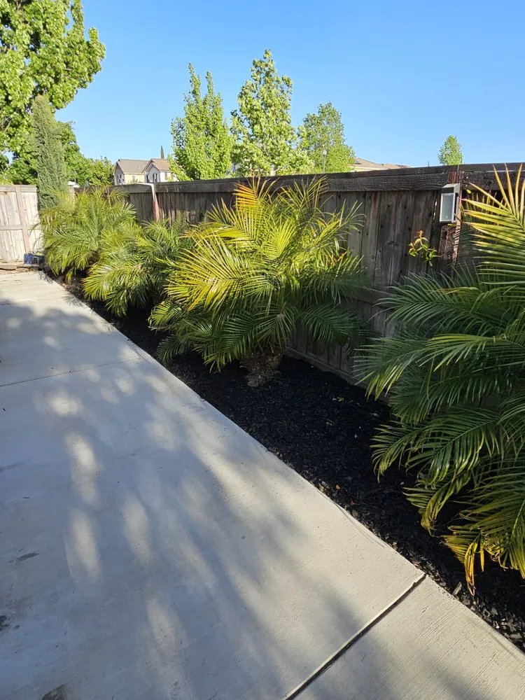 Reliable outdoor landscaping experts serving Lathrop, CA - Terriquez Landscaping