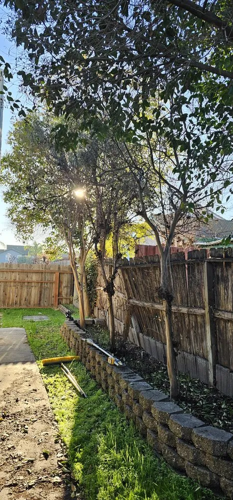 Reliable landscaping services in Lathrop, CA by Terriquez Landscaping