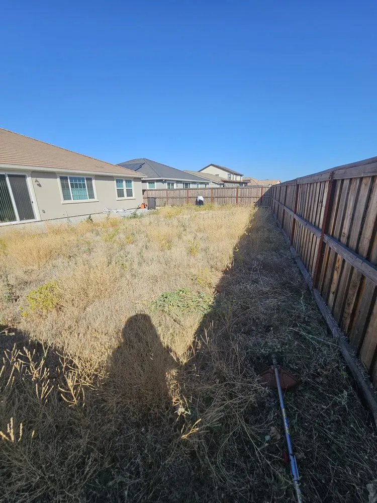 Expert yard maintenance experts serving Lathrop, CA - Terriquez Landscaping