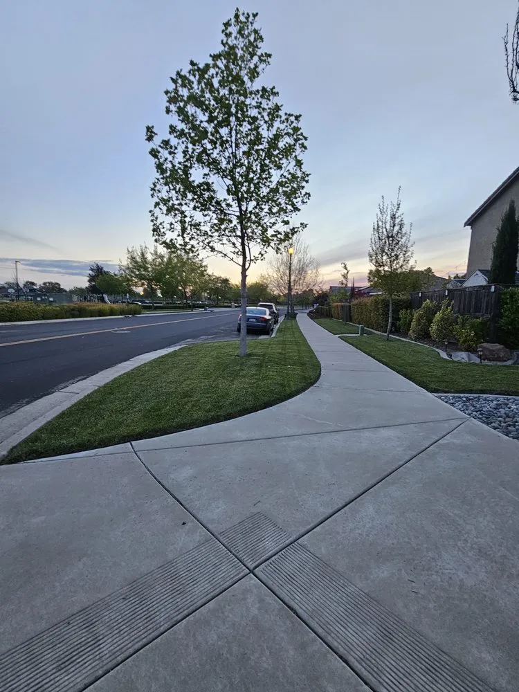 Local yard maintenance in Lathrop, CA by Terriquez Landscaping