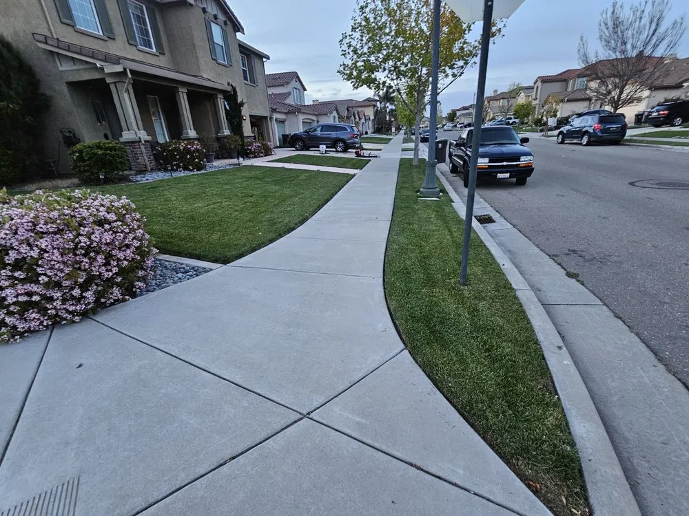 Expert yard cleanup service for residential properties in Lathrop, CA by Terriquez Landscaping