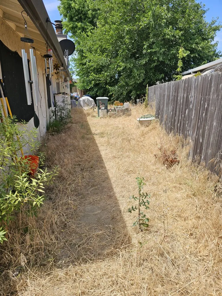 Professional lawn care service in Lathrop, CA by Terriquez Landscaping