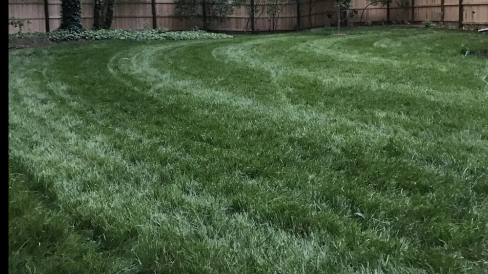 Top-rated landscape design for residential properties in Norfolk, MA by Terroir Lawn and Garden