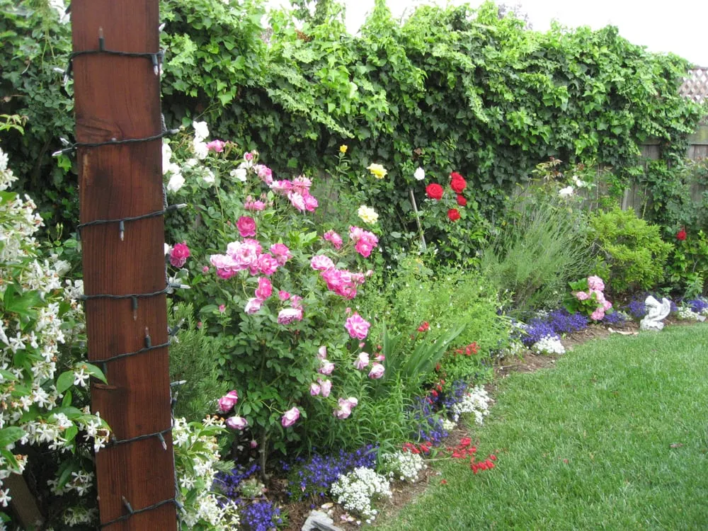 Local lawn care service in Malibu, CA by Terroir Malibu