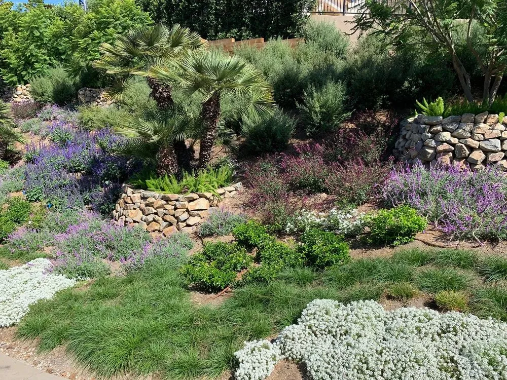 Affordable residential landscaping in Malibu, CA - Terroir Malibu