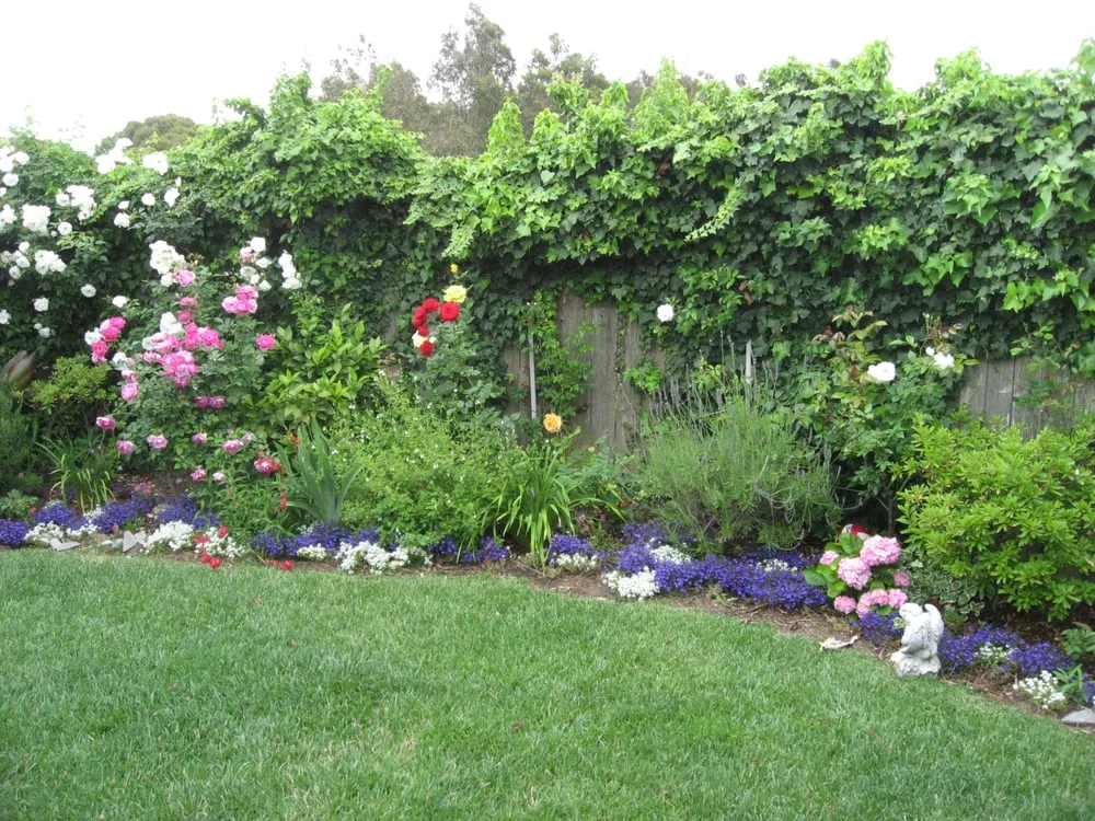 Reliable yard cleanup service experts serving Malibu, CA - Terroir Malibu