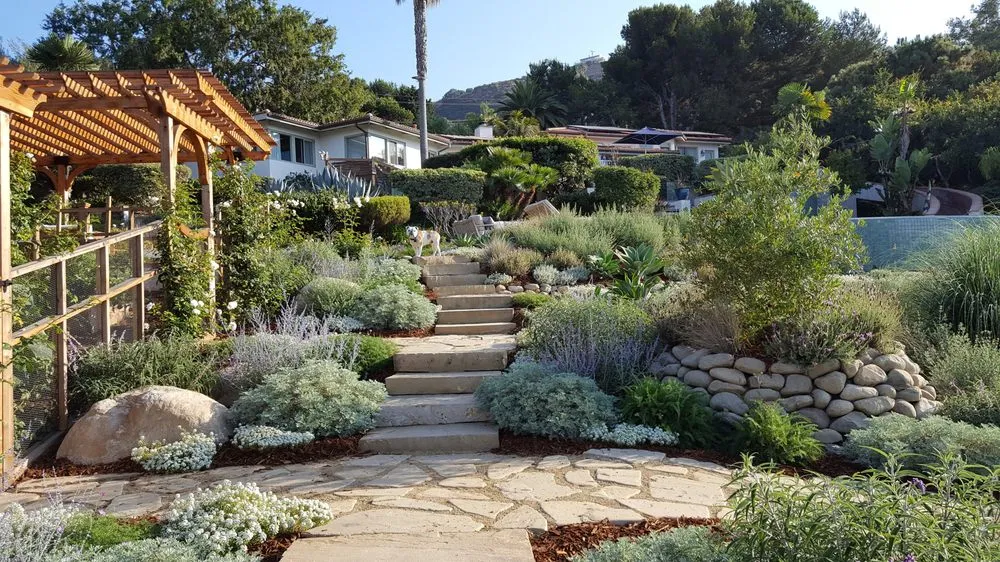 Affordable landscape design for year-round maintenance across Malibu, CA - Terroir Malibu