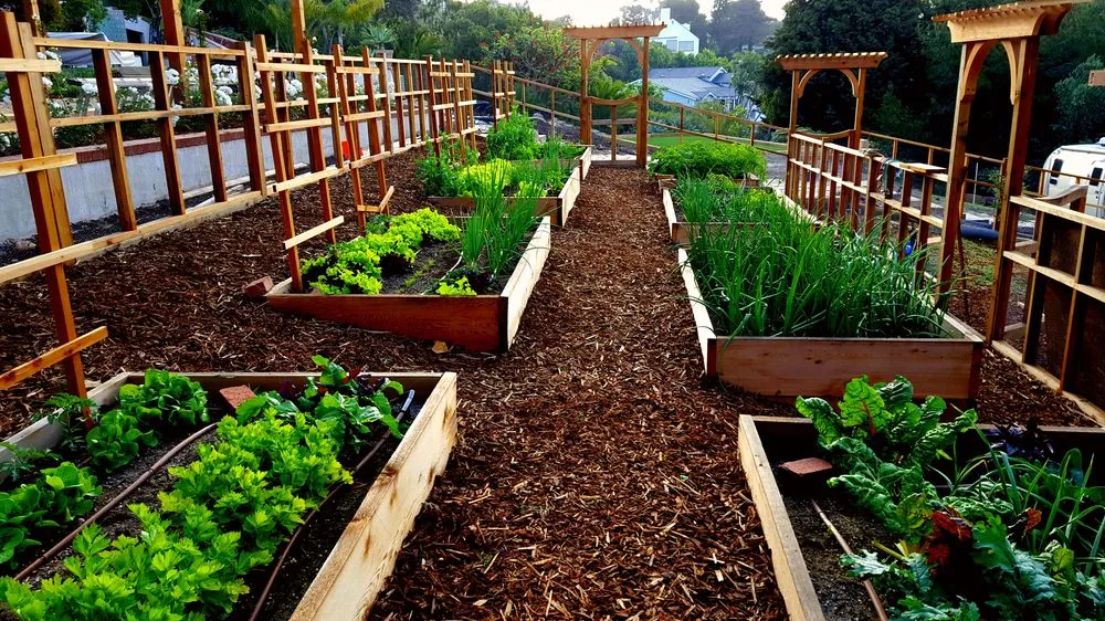 Expert outdoor landscaping in Malibu, CA - Terroir Malibu