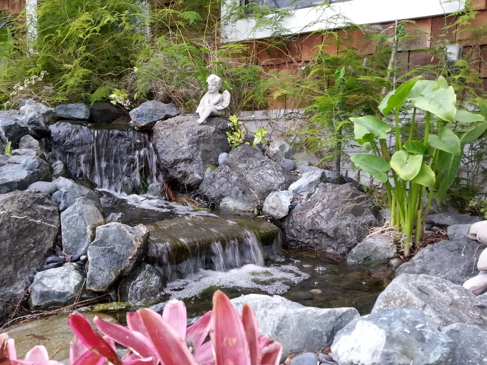 Local yard maintenance experts serving Malibu, CA - Terroir Malibu