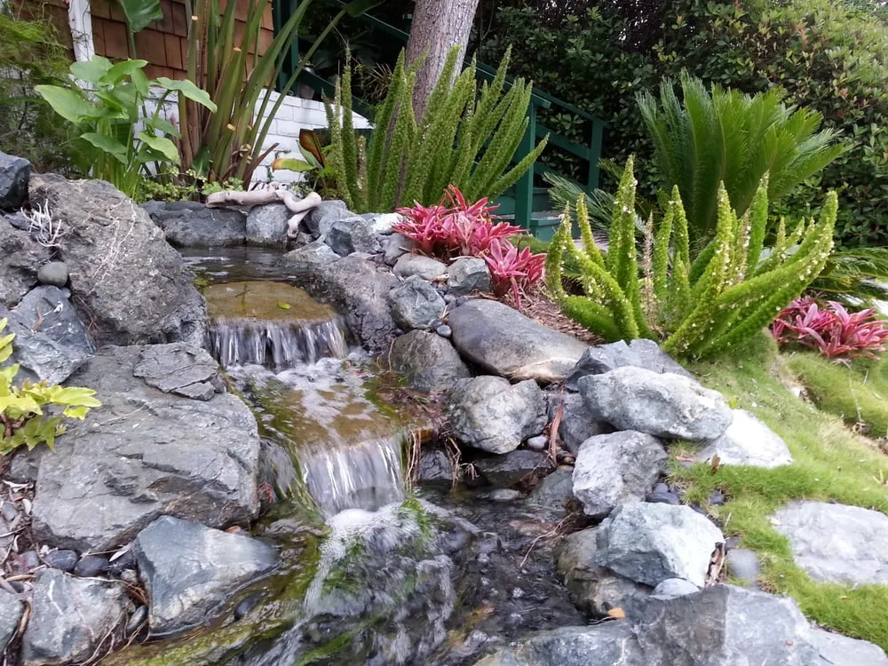 Expert yard cleanup service for year-round maintenance across Malibu, CA - Terroir Malibu