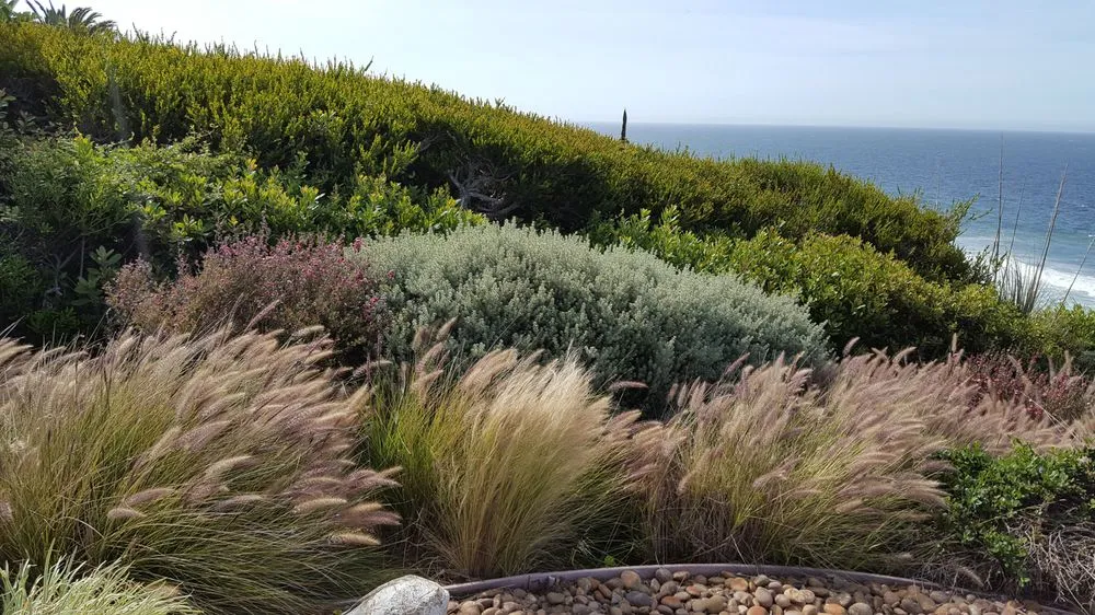 Professional lawn care service experts serving Malibu, CA - Terroir Malibu