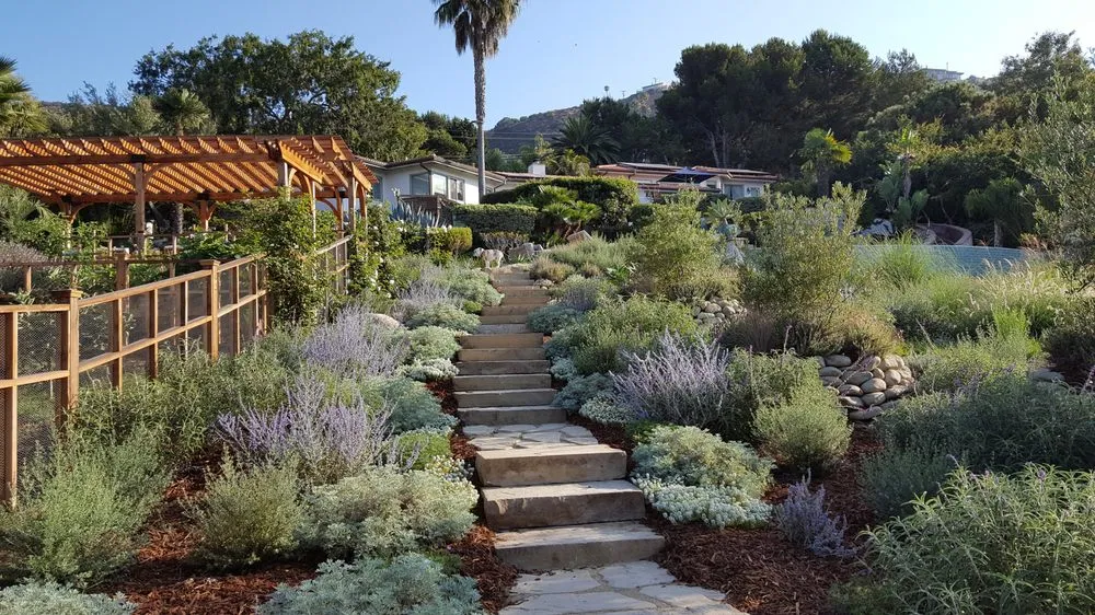 Top-rated outdoor landscaping for outdoor upgrades in Malibu, CA by Terroir Malibu