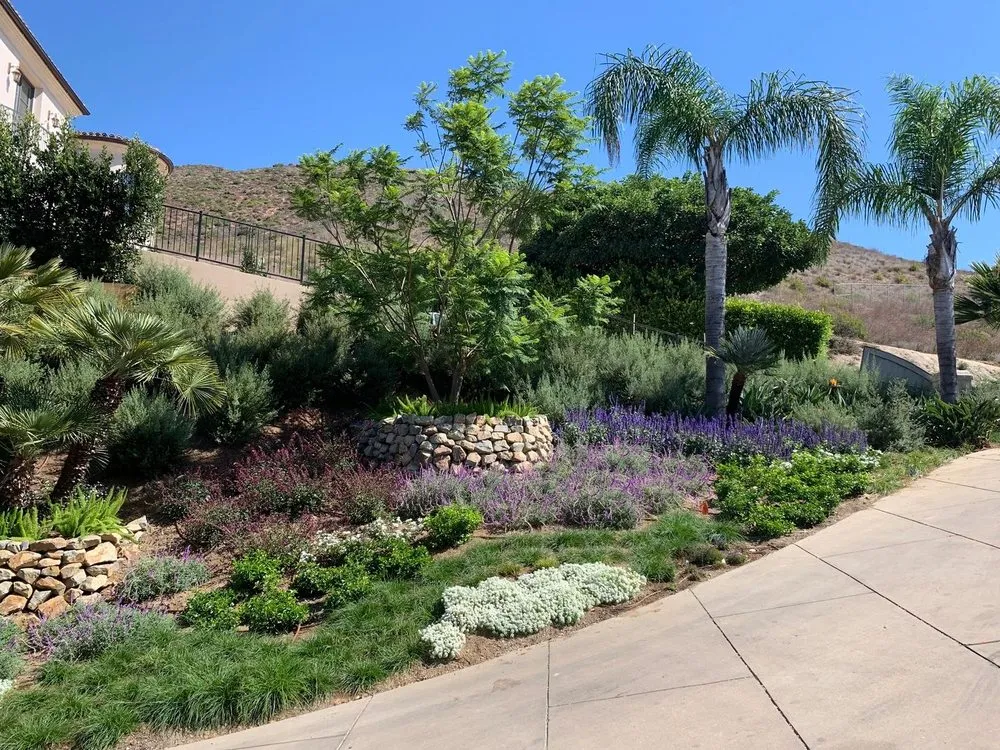 Professional garden landscaping near you across Malibu, CA - Terroir Malibu