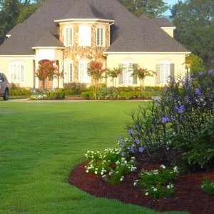 Top-rated yard cleanup service for outdoor upgrades in Johnson City, TN by Terry Henderson Landscaping