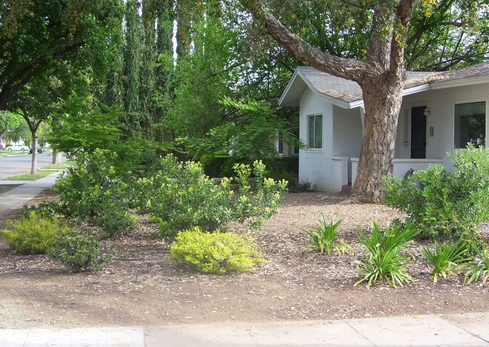 Professional landscaping services for outdoor upgrades in Fresno, CA by Terry Key Landscape Design and Consultation