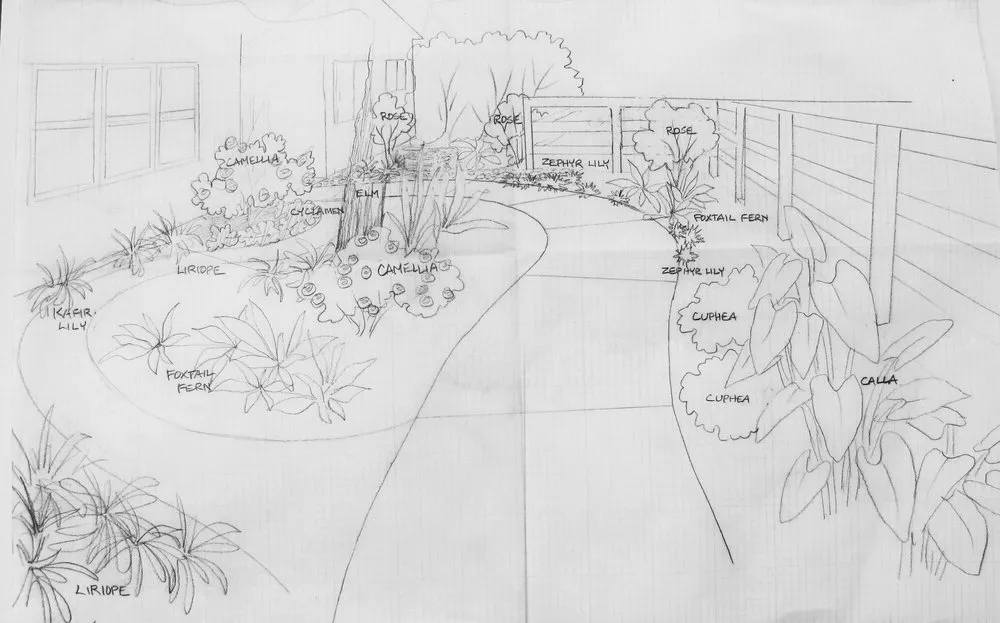 Trusted yard cleanup service in Fresno, CA by Terry Key Landscape Design and Consultation