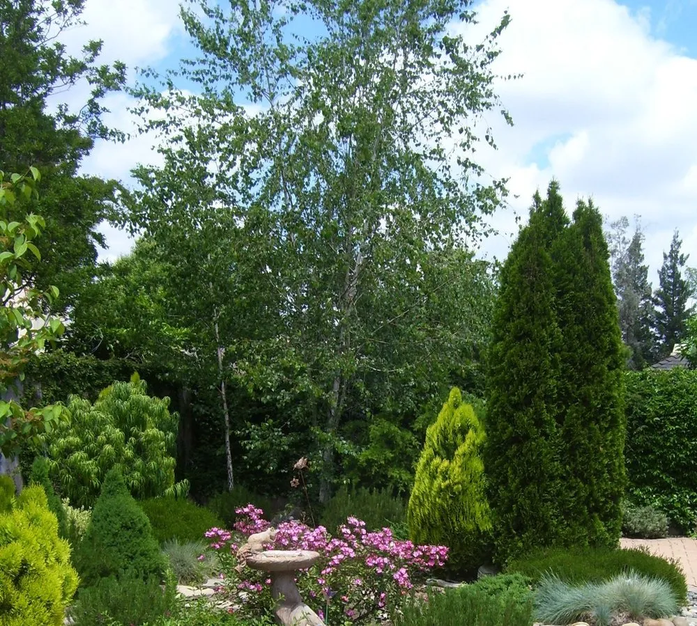 Affordable lawn care service for outdoor upgrades in Fresno, CA by Terry Key Landscape Design and Consultation