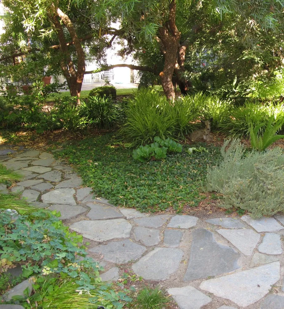 Top-rated lawn mowing service in Fresno, CA by Terry Key Landscape Design and Consultation