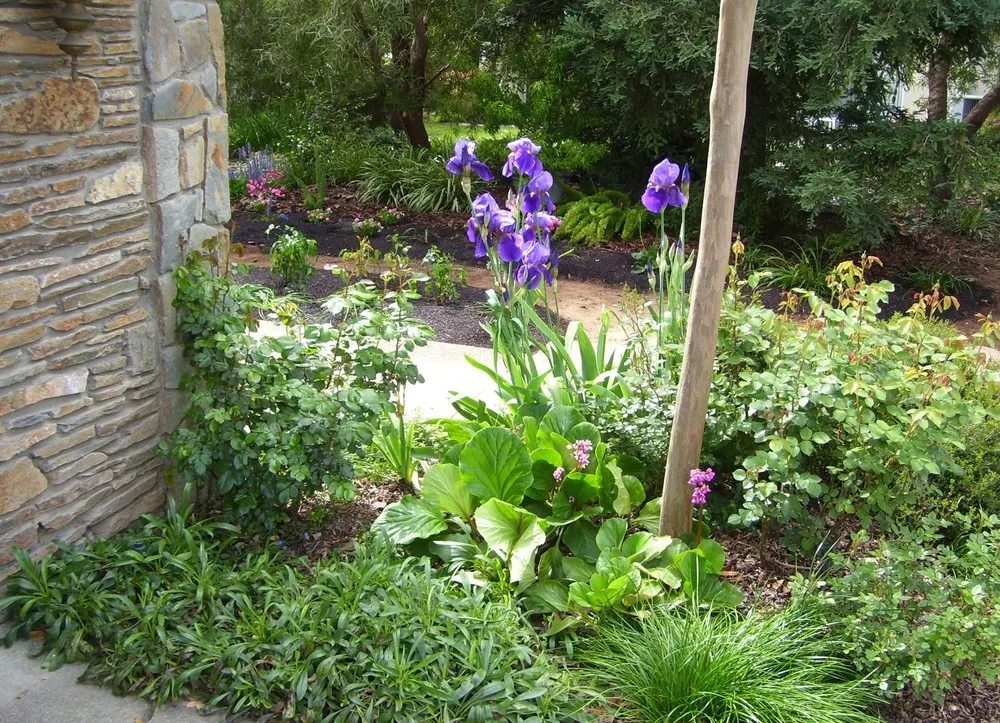 Local landscape installation in Fresno, CA - Terry Key Landscape Design and Consultation