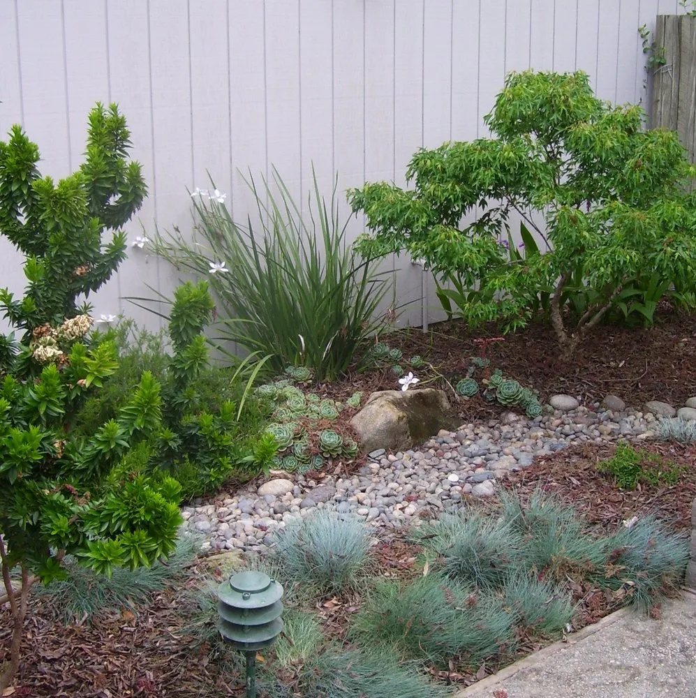 Expert lawn mowing service in Fresno, CA - Terry Key Landscape Design and Consultation