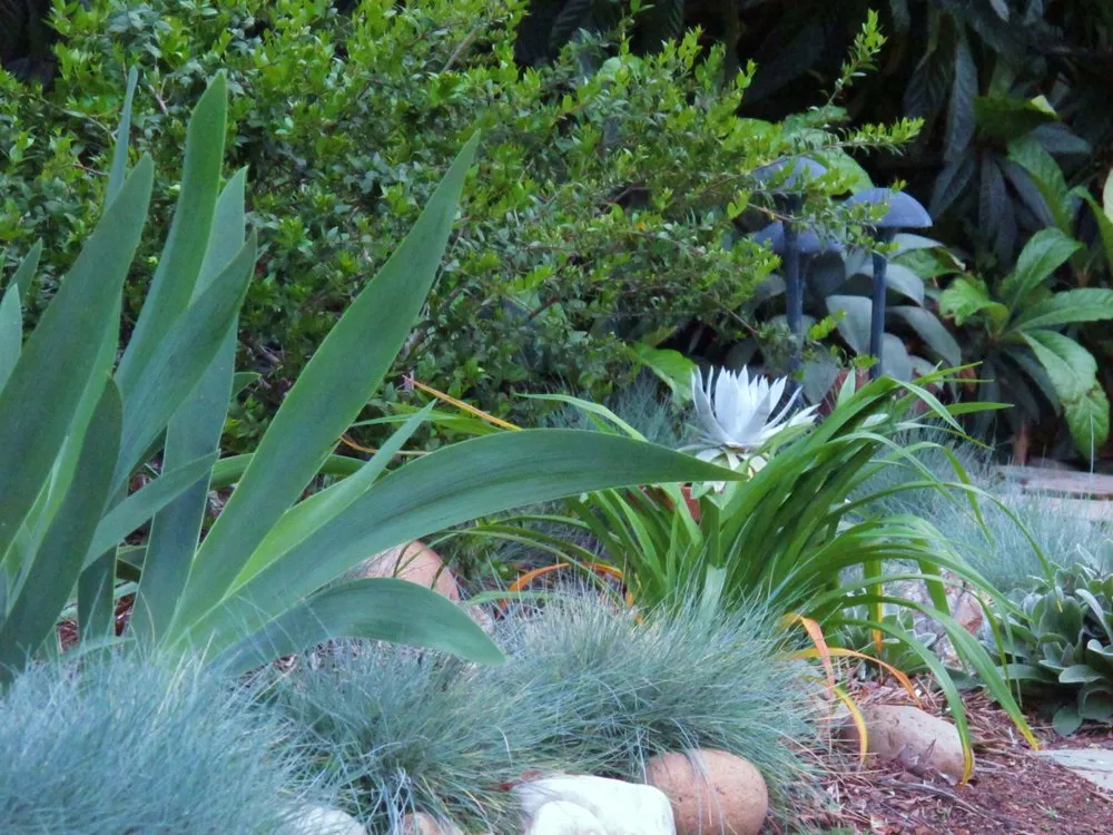 Top-rated landscape design in Fresno, CA - Terry Key Landscape Design and Consultation