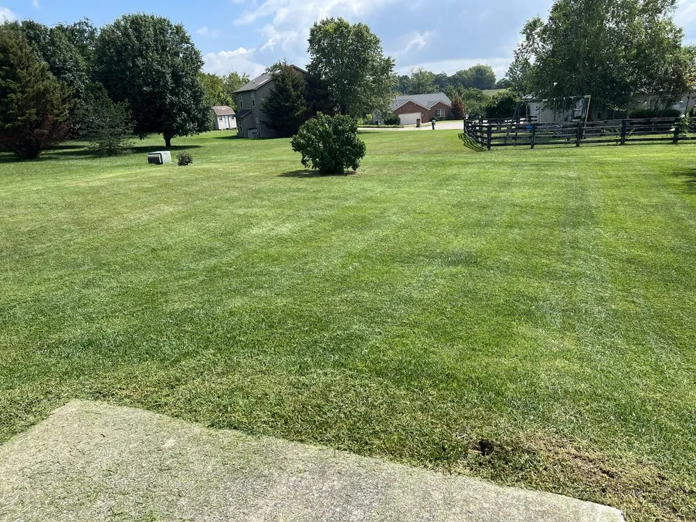 Local residential landscaping experts serving Richmond, KY - Terry lawn care