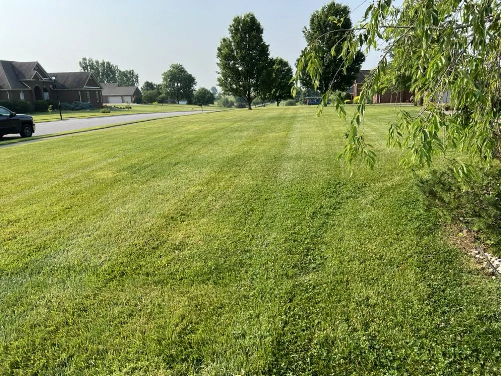 Custom landscaping services experts serving Richmond, KY - Terry lawn care