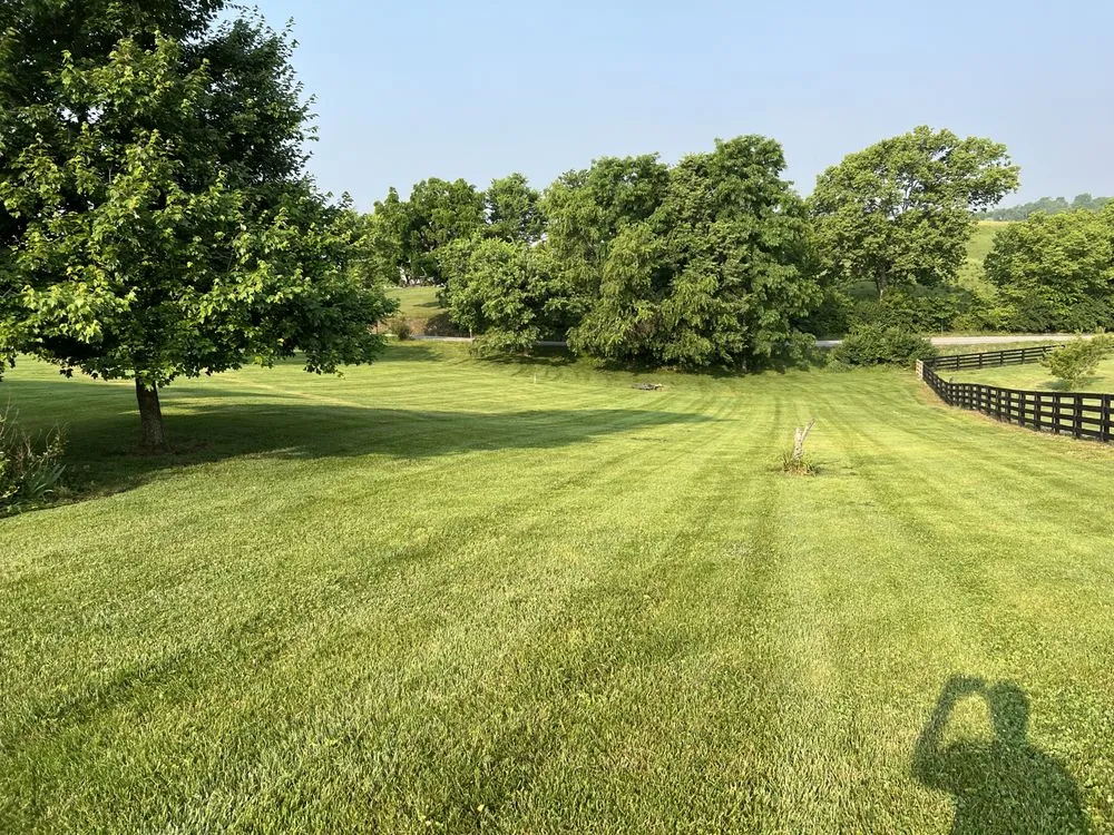 Affordable residential landscaping experts serving Richmond, KY - Terry lawn care