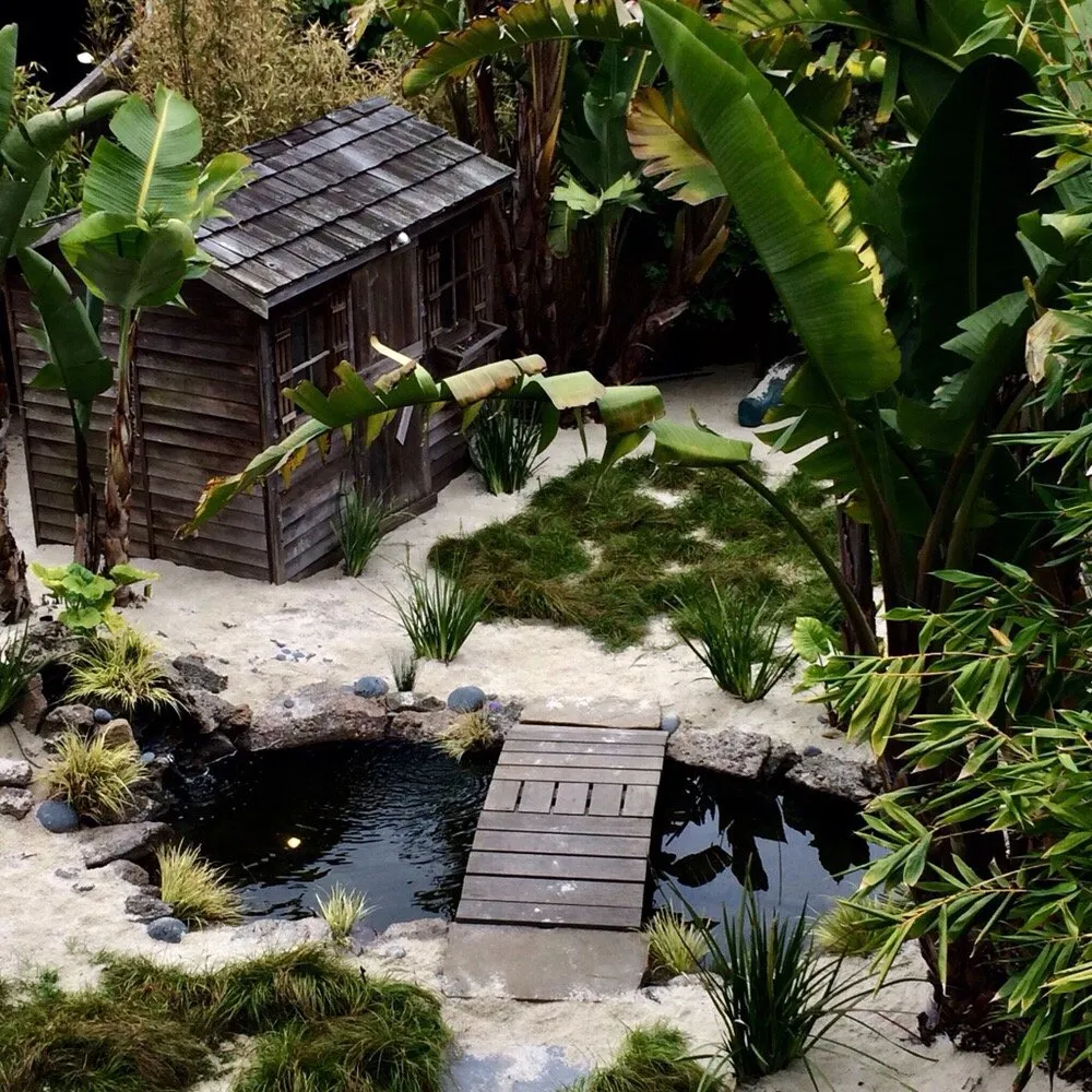 Top-rated landscaping services for beautiful yards in San Francisco, CA by Terry Mulrooney