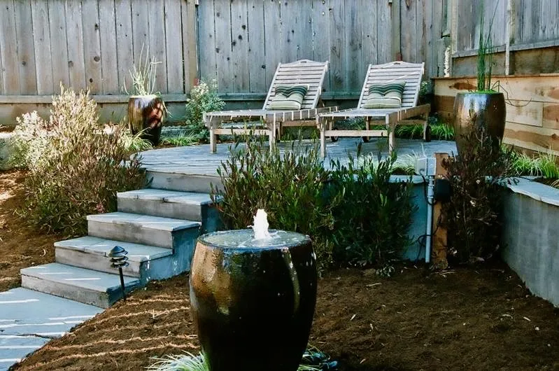 Trusted landscaping services in San Francisco, CA by Terry Mulrooney