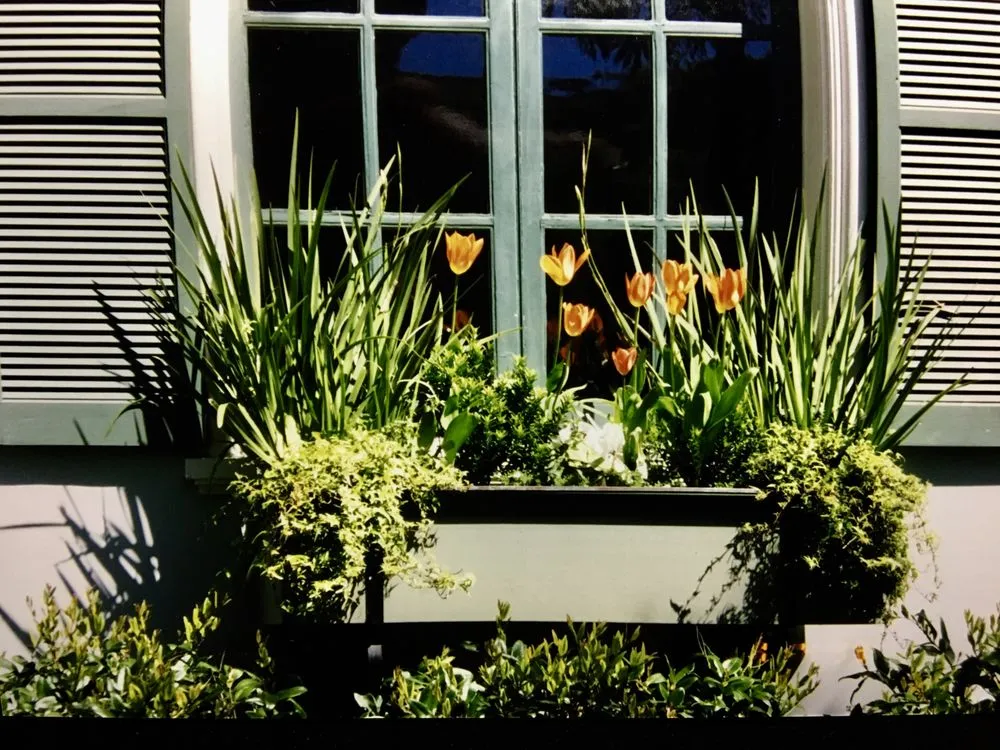 Top-rated garden landscaping for residential properties across San Francisco, CA - Terry Mulrooney