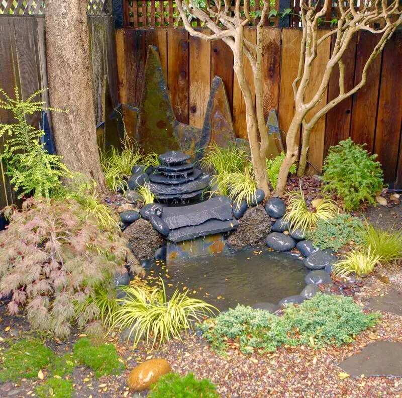 Affordable garden landscaping for year-round maintenance in San Francisco, CA by Terry Mulrooney